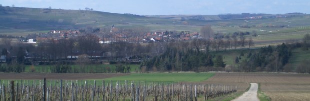 Hiwwel-Route nach Wallertheim